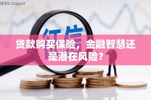 弋阳贷款购买保险，金融智慧还是潜在风险？
