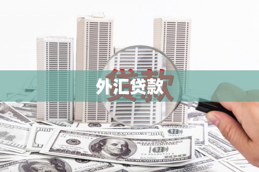弋阳外汇贷款