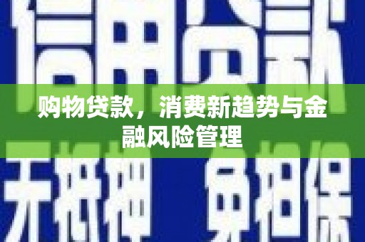 弋阳购物贷款，消费新趋势与金融风险管理