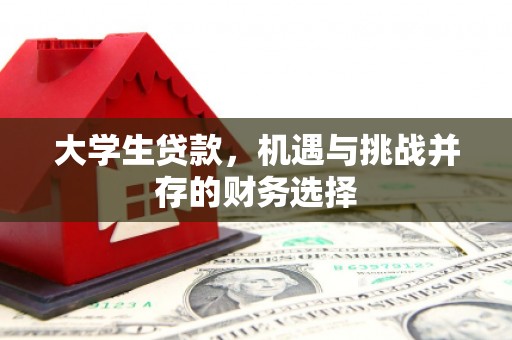 弋阳大学生贷款，机遇与挑战并存的财务选择