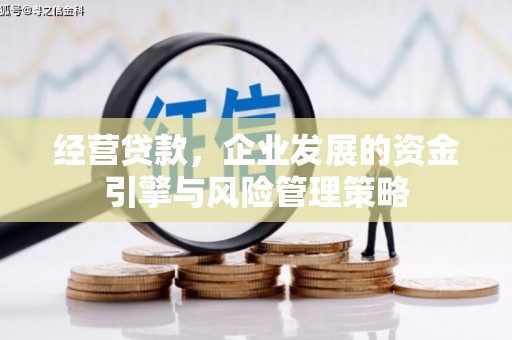 弋阳经营贷款，企业发展的资金引擎与风险管理策略