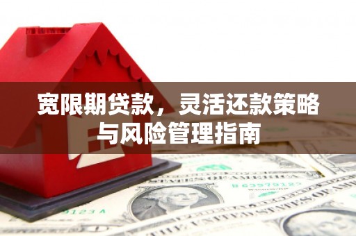 弋阳宽限期贷款，灵活还款策略与风险管理指南