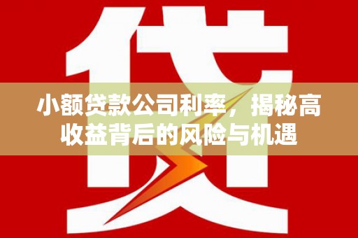 弋阳小额贷款公司利率，揭秘高收益背后的风险与机遇
