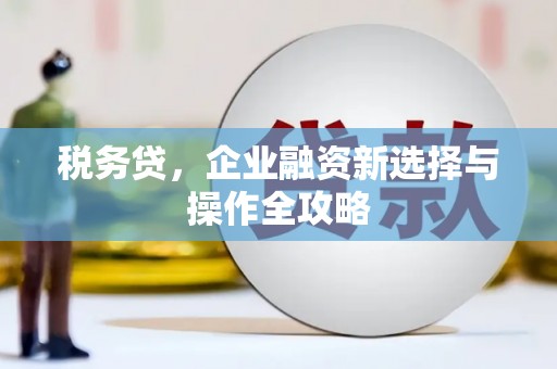 弋阳税务贷，企业融资新选择与操作全攻略