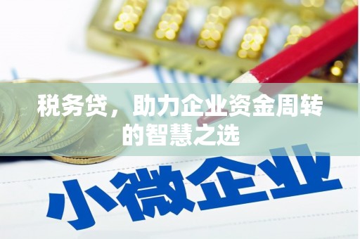 弋阳税务贷，助力企业资金周转的智慧之选