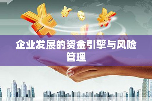 弋阳企业发展的资金引擎与风险管理