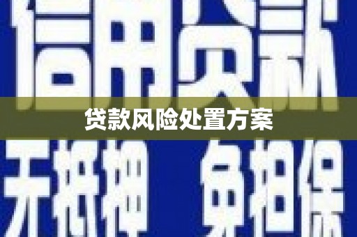 弋阳贷款风险处置方案