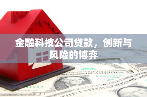 弋阳金融科技公司贷款，创新与风险的博弈
