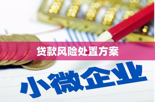 弋阳贷款风险处置方案