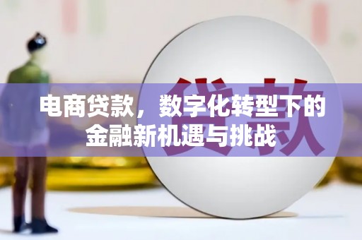 弋阳电商贷款，数字化转型下的金融新机遇与挑战