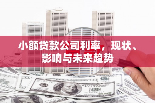 弋阳小额贷款公司利率，现状、影响与未来趋势