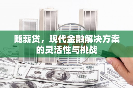 弋阳随薪贷，现代金融解决方案的灵活性与挑战