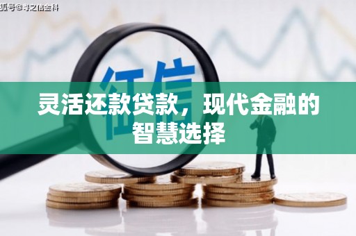 弋阳灵活还款贷款，现代金融的智慧选择