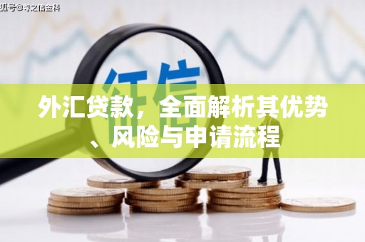 弋阳外汇贷款，全面解析其优势、风险与申请流程
