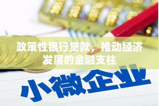 弋阳政策性银行贷款，推动经济发展的金融支柱