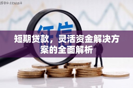 弋阳短期贷款，灵活资金解决方案的全面解析