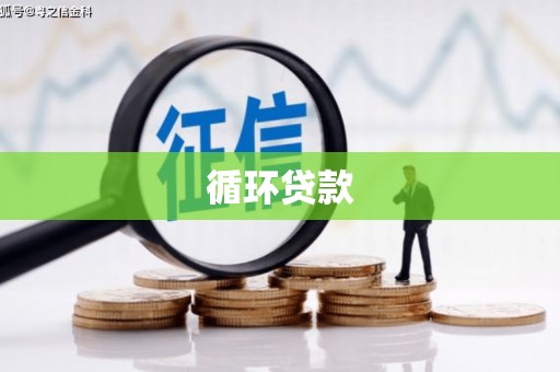 弋阳循环贷款