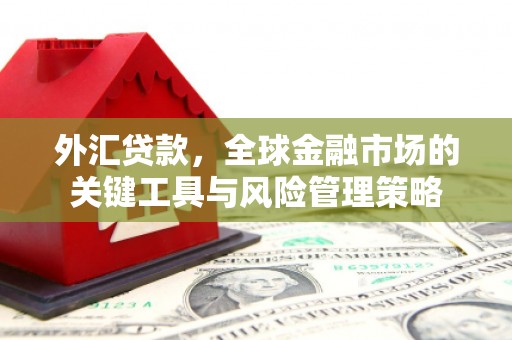 弋阳外汇贷款，全球金融市场的关键工具与风险管理策略