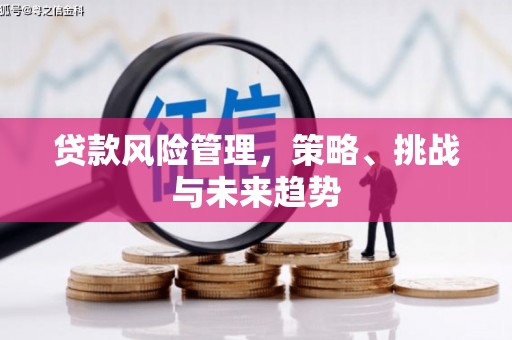 弋阳贷款风险管理，策略、挑战与未来趋势