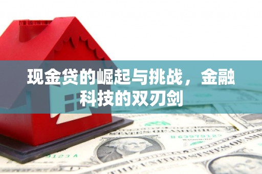弋阳现金贷的崛起与挑战，金融科技的双刃剑