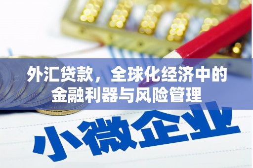 弋阳外汇贷款，全球化经济中的金融利器与风险管理