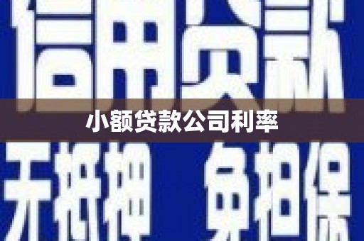 弋阳小额贷款公司利率