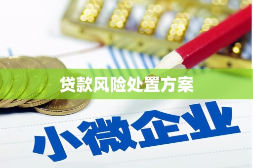 弋阳贷款风险处置方案