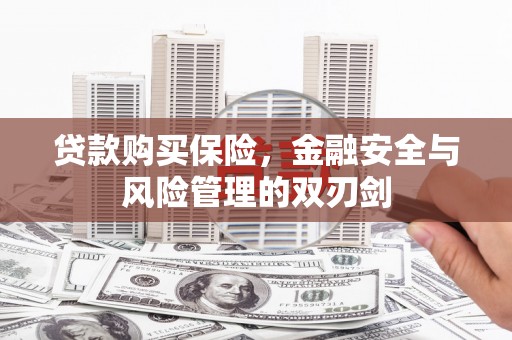 弋阳贷款购买保险，金融安全与风险管理的双刃剑