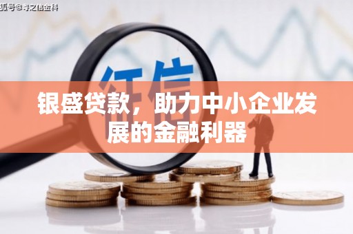 弋阳银盛贷款，助力中小企业发展的金融利器