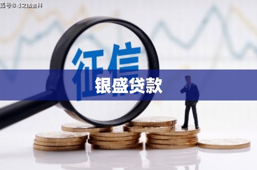 弋阳银盛贷款