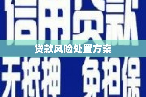 弋阳贷款风险处置方案