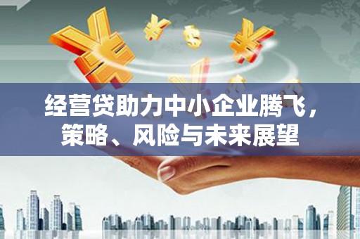 弋阳经营贷助力中小企业腾飞，策略、风险与未来展望