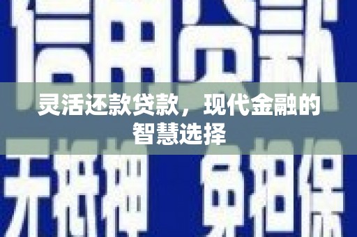 弋阳灵活还款贷款，现代金融的智慧选择