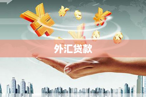 弋阳外汇贷款