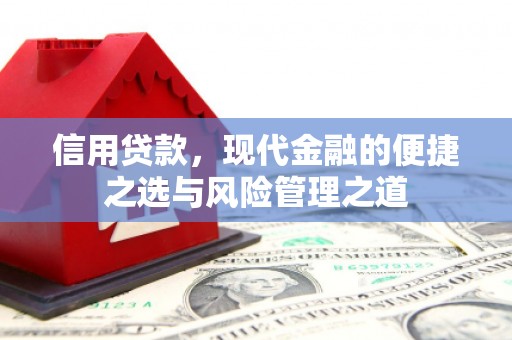 弋阳信用贷款，现代金融的便捷之选与风险管理之道