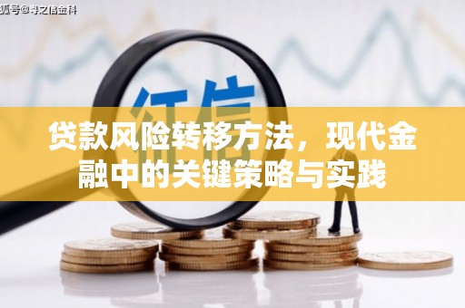 弋阳贷款风险转移方法，现代金融中的关键策略与实践