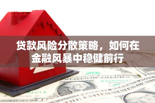 弋阳贷款风险分散策略，如何在金融风暴中稳健前行