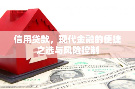 弋阳信用贷款，现代金融的便捷之选与风险控制
