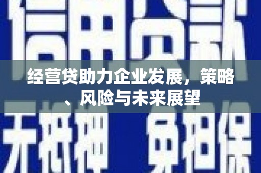 弋阳经营贷助力企业发展，策略、风险与未来展望