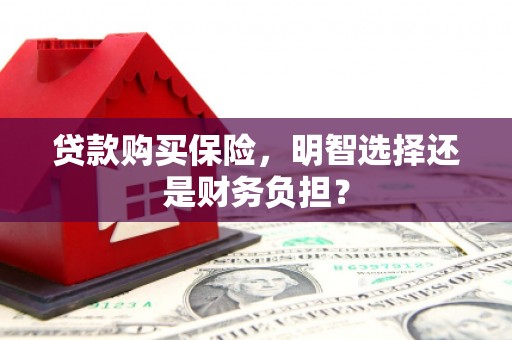 弋阳贷款购买保险，明智选择还是财务负担？
