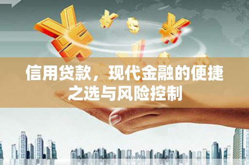 弋阳信用贷款，现代金融的便捷之选与风险控制