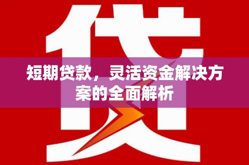 弋阳短期贷款，灵活资金解决方案的全面解析