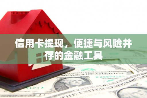 弋阳信用卡提现，便捷与风险并存的金融工具
