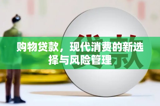 弋阳购物贷款，现代消费的新选择与风险管理