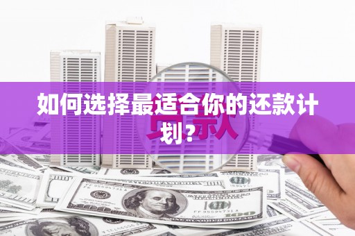 弋阳如何选择最适合你的还款计划？