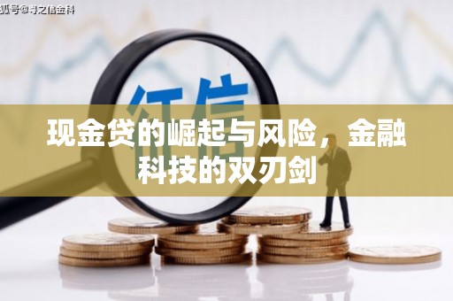 弋阳现金贷的崛起与风险，金融科技的双刃剑