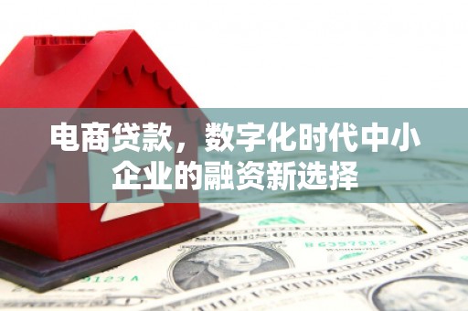 弋阳电商贷款，数字化时代中小企业的融资新选择