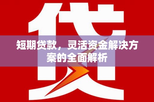 弋阳短期贷款，灵活资金解决方案的全面解析
