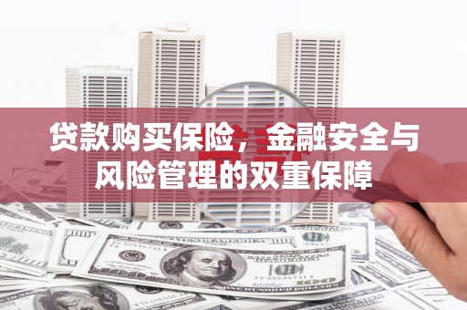 弋阳贷款购买保险，金融安全与风险管理的双重保障