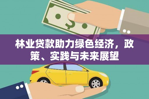 弋阳林业贷款助力绿色经济，政策、实践与未来展望
